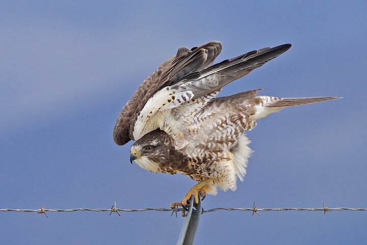 Experience Image img4