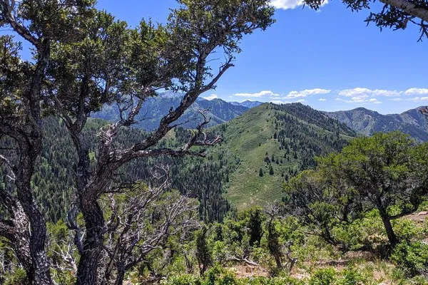 Escape to Serenity: Park City Hiking Adventure with Expert Guide