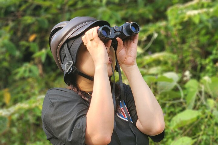 Experience Image img3