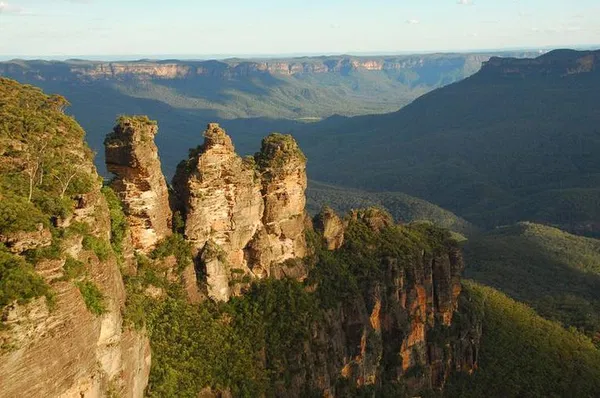 Unveiling the Blue Mountains: A Deluxe Eco-Wildlife Adventure