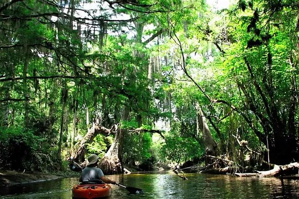 Loxahatchee River Adventure: A Cypress Canopy Kayak Tour