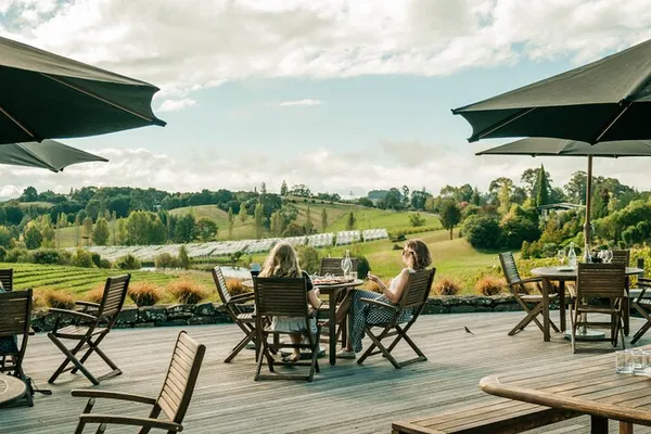 Savor Nelson: An Immersive Wine Tasting Tour Experience