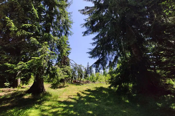 img0