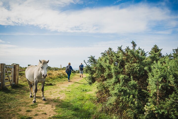 Experience Image img3