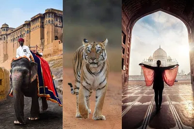 Discover India's Wonders: Golden Triangle, Tigers & Taj Mahal