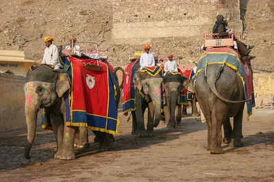 Discover Jaipur's Pink City: A Luxurious Private Day Trip from Delhi