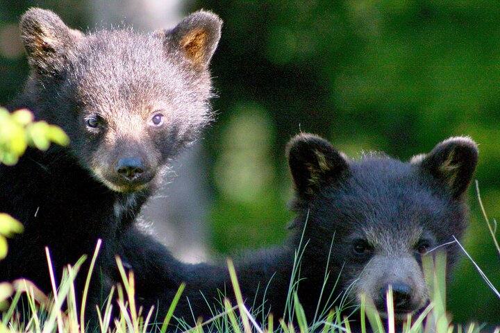 Experience Image img1