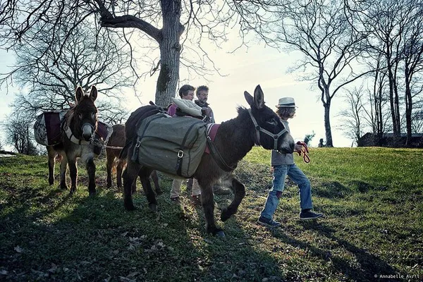 Discover Mélusine's Enchanting Trails: Donkey Hiking Adventures Await!