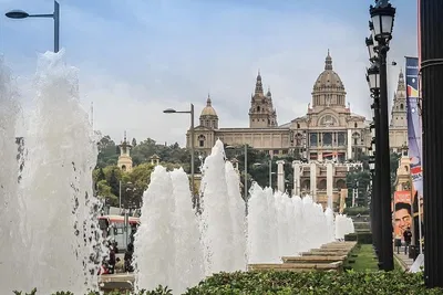 Unveiling Barcelona: A Personalized 4-Hour Contrast Tour