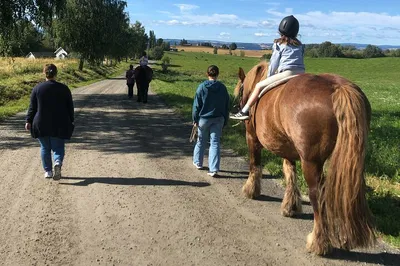 Gentle Horse Riding at Fokhol Gård: A Family Nature Escape