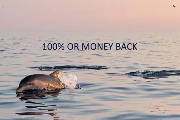 Rovinj's Dolphin Sunrise: A Speedboat Adventure Guarantee