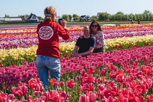 Unforgettable Day Trip: Tulips, Windmills, and Giethoorn Charm!