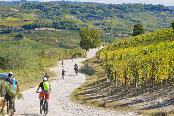 Uncover Barolo's Beauty: Private E-Bike Tour Through Langhe's Vineyards