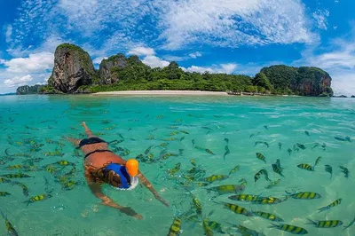Phi Phi Islands: A Speedboat Adventure to Hidden Beaches & Underwater Wonders