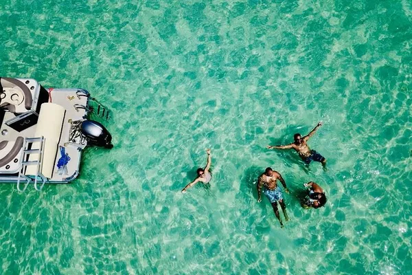 Clearwater Pontoon Tour: Dolphins, Snorkeling & Beaches!