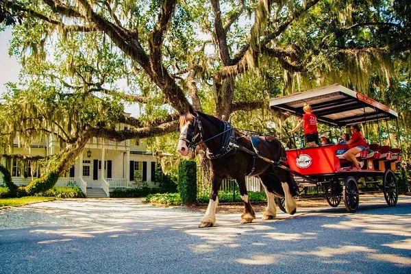 Beaufort History Tour by Horse-Drawn Carriage Ride