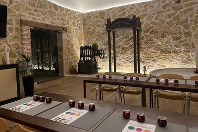 Madrid Olive Oil Tasting: Mill Tour & Fanum-Cultur