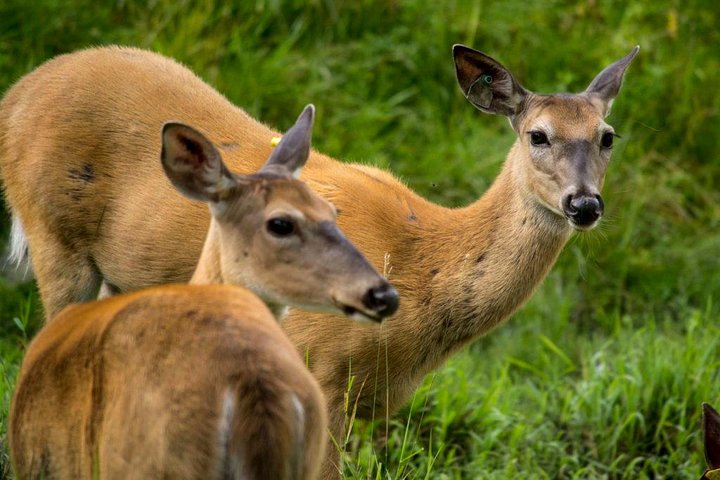 Experience Image img3