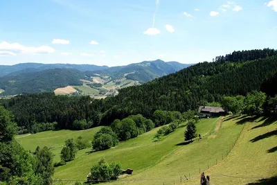 Black Forest Private Tour: Uncover Nature's Hidden Gems
