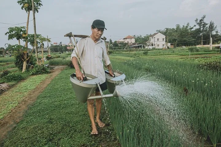img0