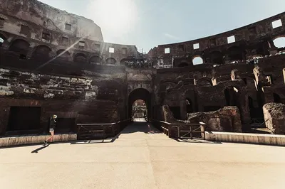 Colosseum Arena Floor Tour: Roman Forum & Palatine Hill