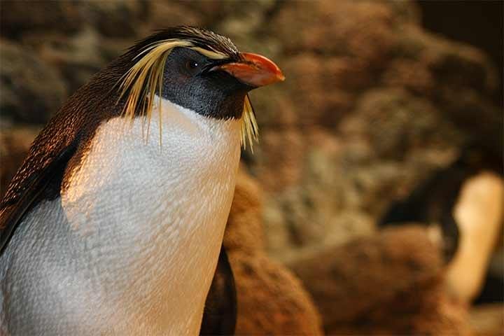 Experience Image img3