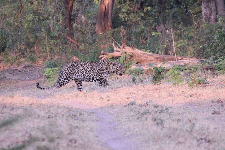 Experience Image img2