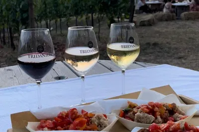 Cilento E-Bike Adventure: Explore Vineyards & Villages with Wine Tasting