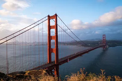 Unveiling San Francisco's Charm: A Personalized Private Tour