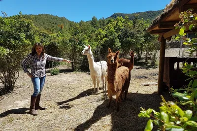 Penedès Hike & Wine: An Exclusive Catalan Adventure