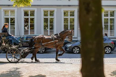 Bruges Day Trip: Unveiling Romance, Art, and Chocolate from Paris