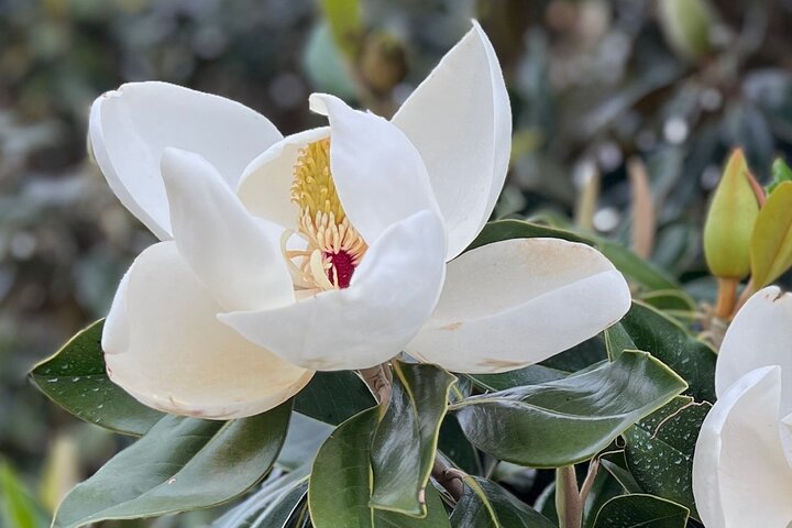 Experience Image img3