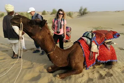 Royal Rajasthan: 8-Day Private Golden Triangle Luxury Tour
