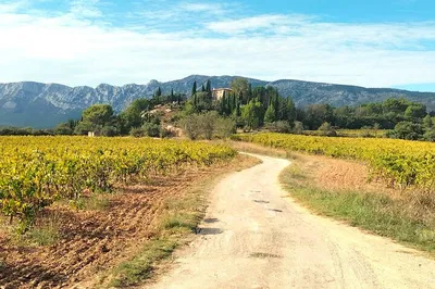 Unveiling Provence: A Private Wine & Countryside Escape
