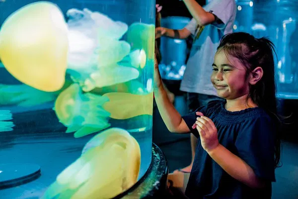 Dive into Adventure: Explore SEA LIFE Sydney Aquarium's Wonders