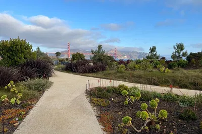 SF Urban Hike: Brews & Views Small Group Tour