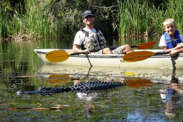 Naples' Mangrove Tunnels: A Kayaking Eco-Adventure Through Florida's Everglades