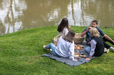 Victoria's Farm Picnic: A Gourmet Escape for Four
