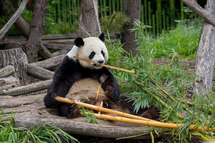 Experience Image img4