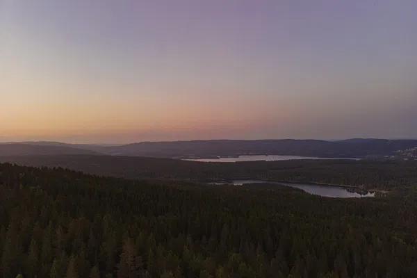 Unveiling Oslo's Natural Gem: A Private Lakeside Adventure