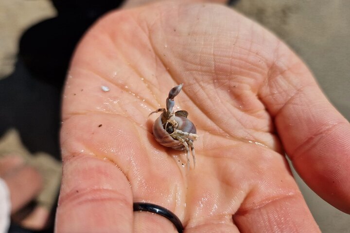 Experience Image img4