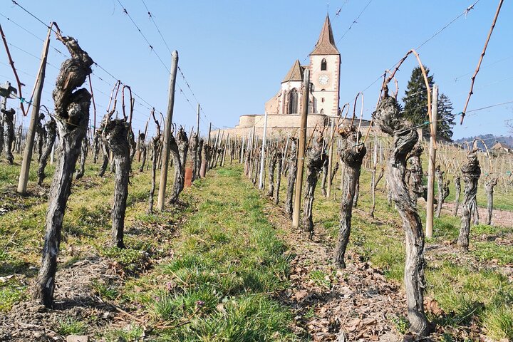 Experience Image img2