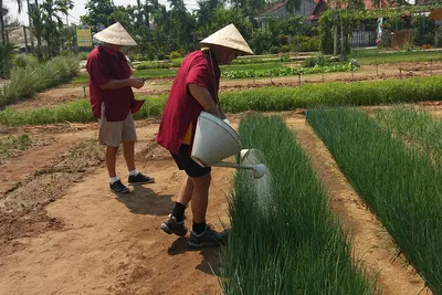 Discover Hoi An: Farm, Feast & Foot Massage in Tra Que Village