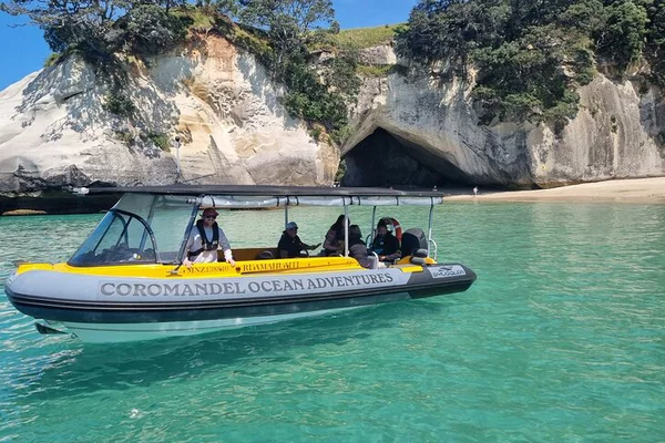Cathedral Cove Tour: Explore Marine Wonders in 2 Hours
