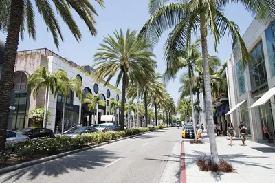 LA Private Tour: Hollywood, Beverly Hills & Beaches!