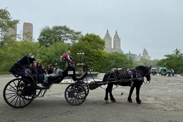 Enchanting Central Park Carriage Ride: A Timeless NYC Adventure