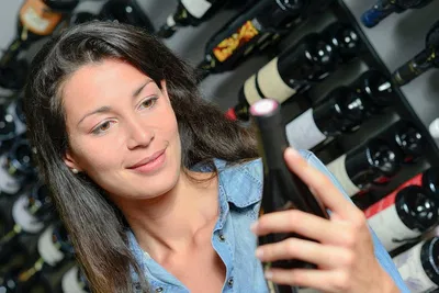Burgundy Wine Tour: Day Trip from Paris by Train