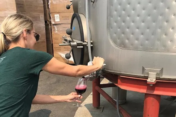 Napa Valley Wine Tour: Luxury SUV Experience