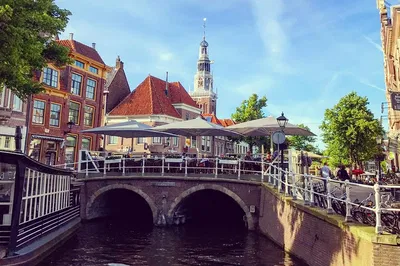 Alkmaar Unveiled: A Canadian's Charming Small-Group Walking Tour