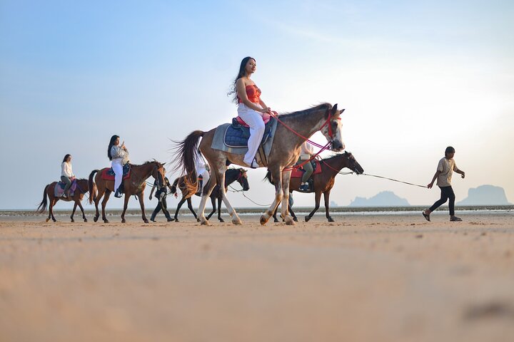 Krabi Beach Horseback Adventure: Ride, Swim & Explore!